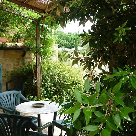 Agriturismo Apparita Montecastelli Pisano Zimmer foto