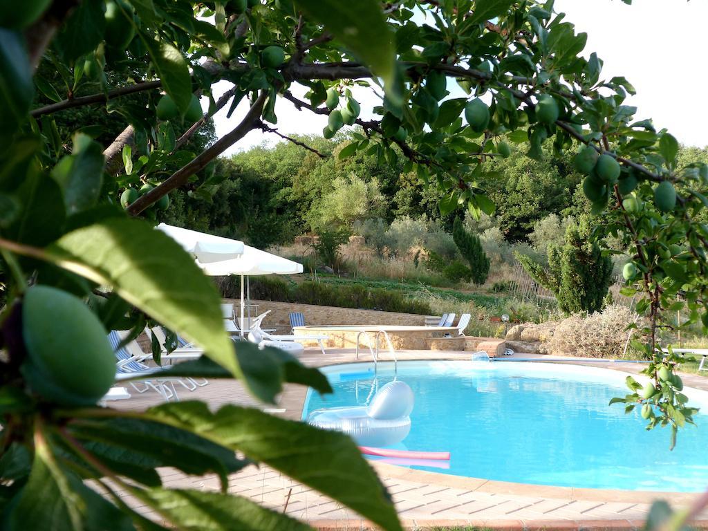 Agriturismo Apparita Montecastelli Pisano Exterior foto