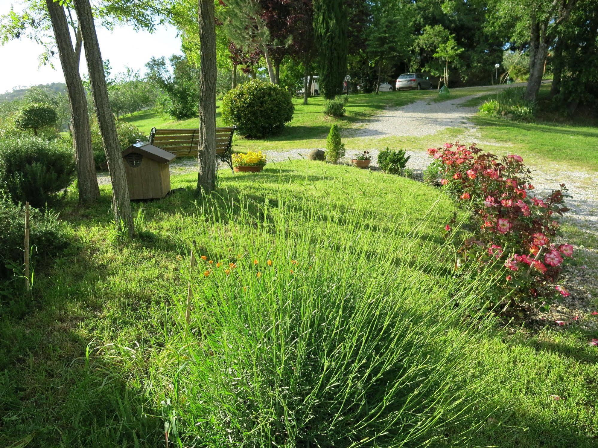 Agriturismo Apparita Montecastelli Pisano Exterior foto